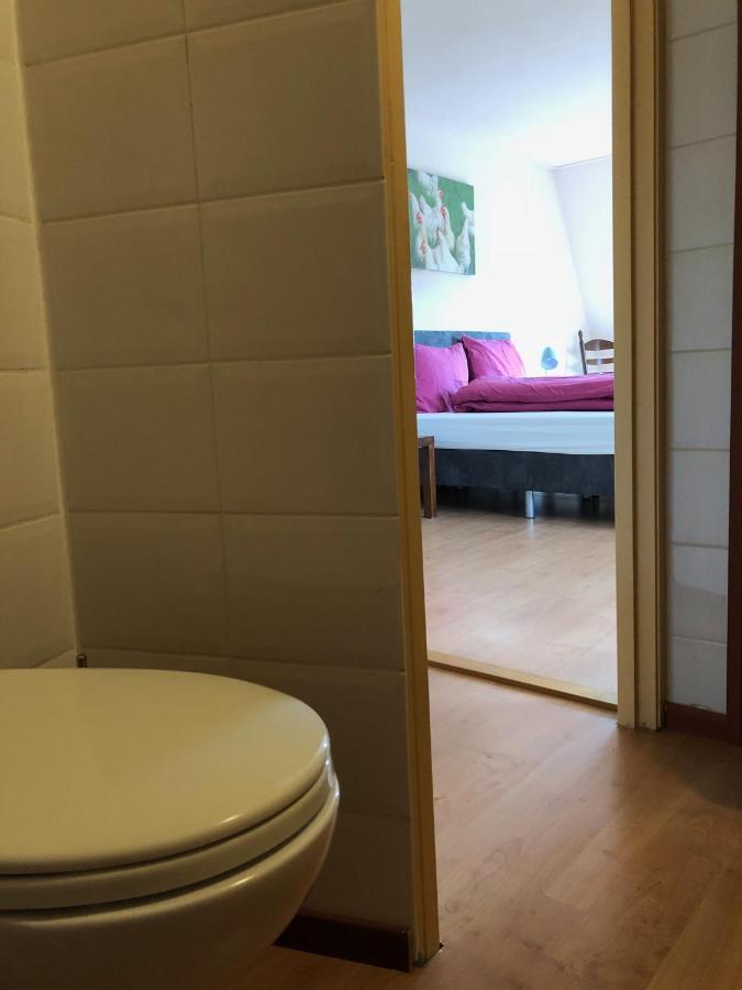Vakantiehuis Het Voorhuis Op Landgoed Koepeltjesplaats Gaast Екстериор снимка